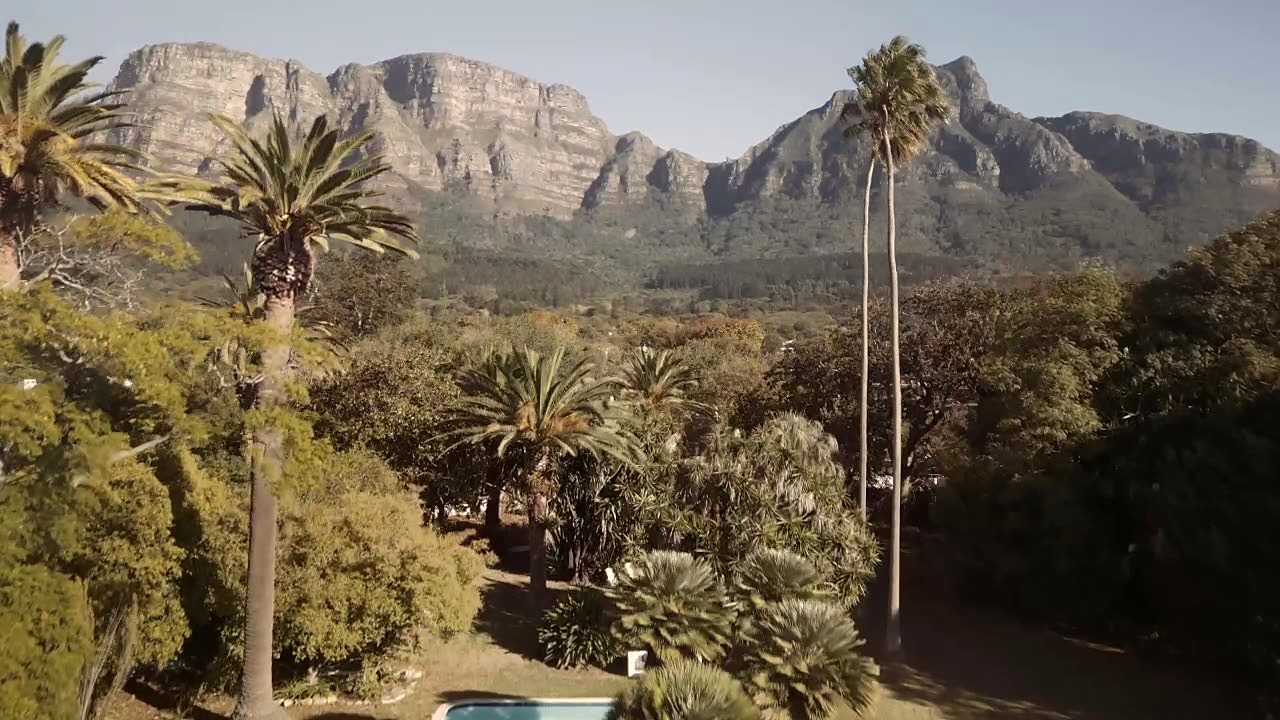 Table Mountain rising beyond the palms and gardens of Glenhof
