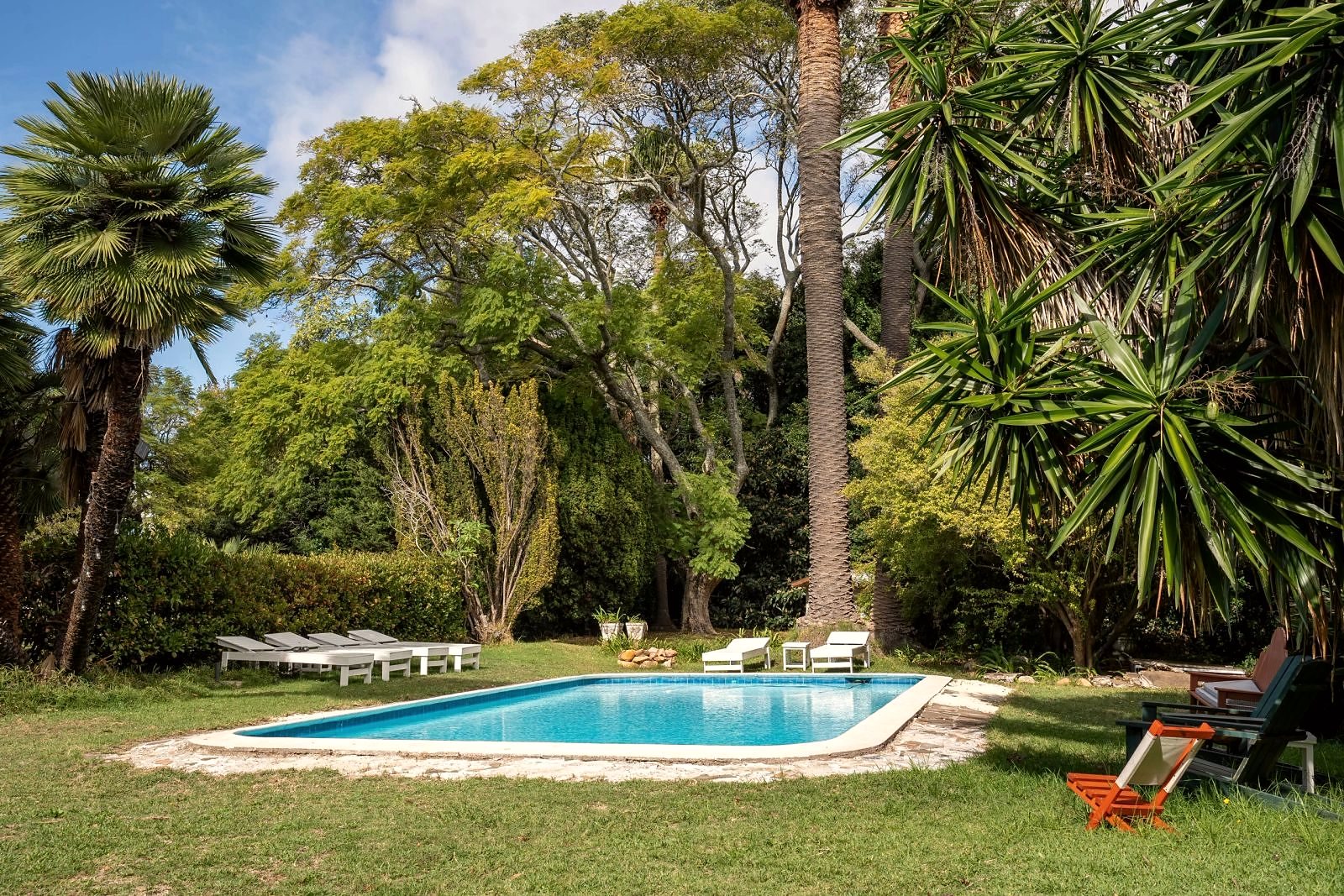 The pool among palms in the garden
